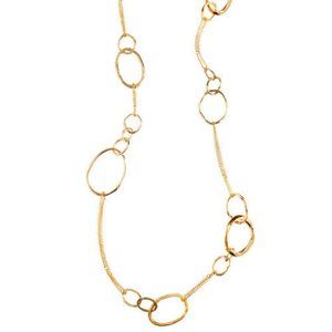 Chloe + Isabel Long Organic Link Chain Necklace